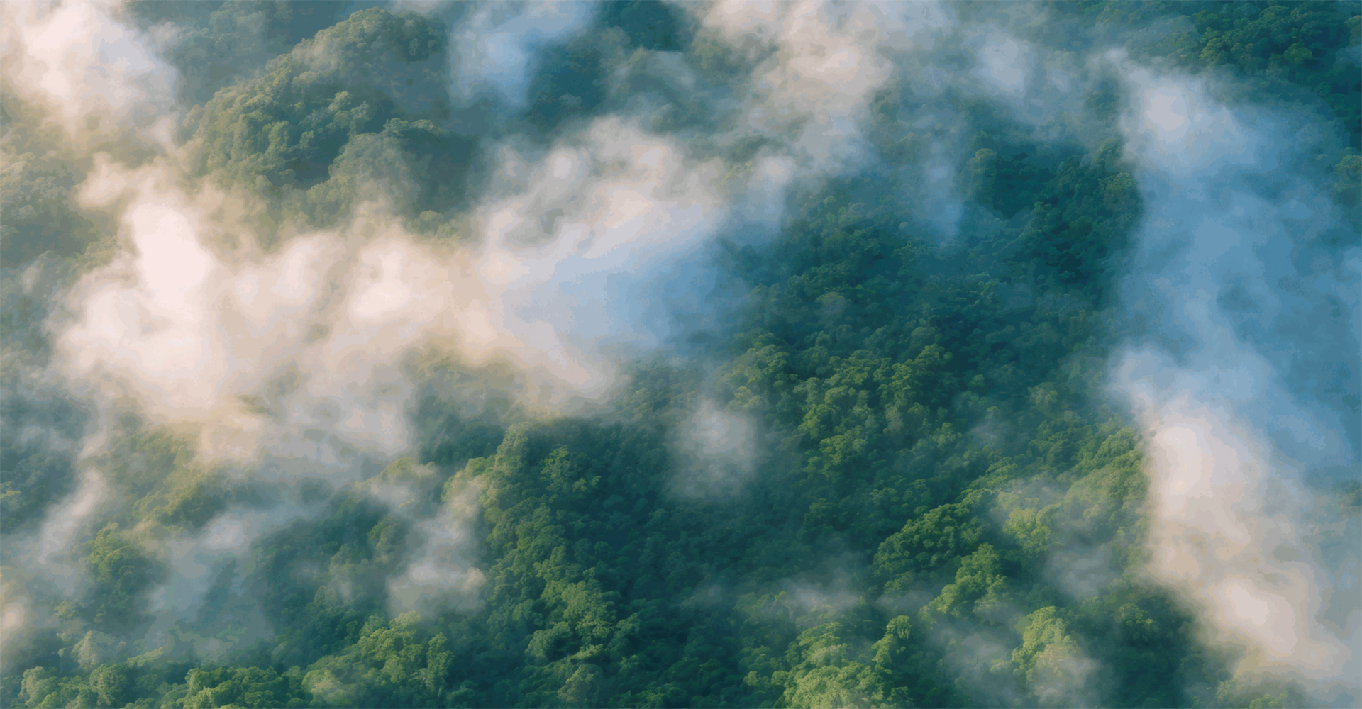 Visuel test header projet