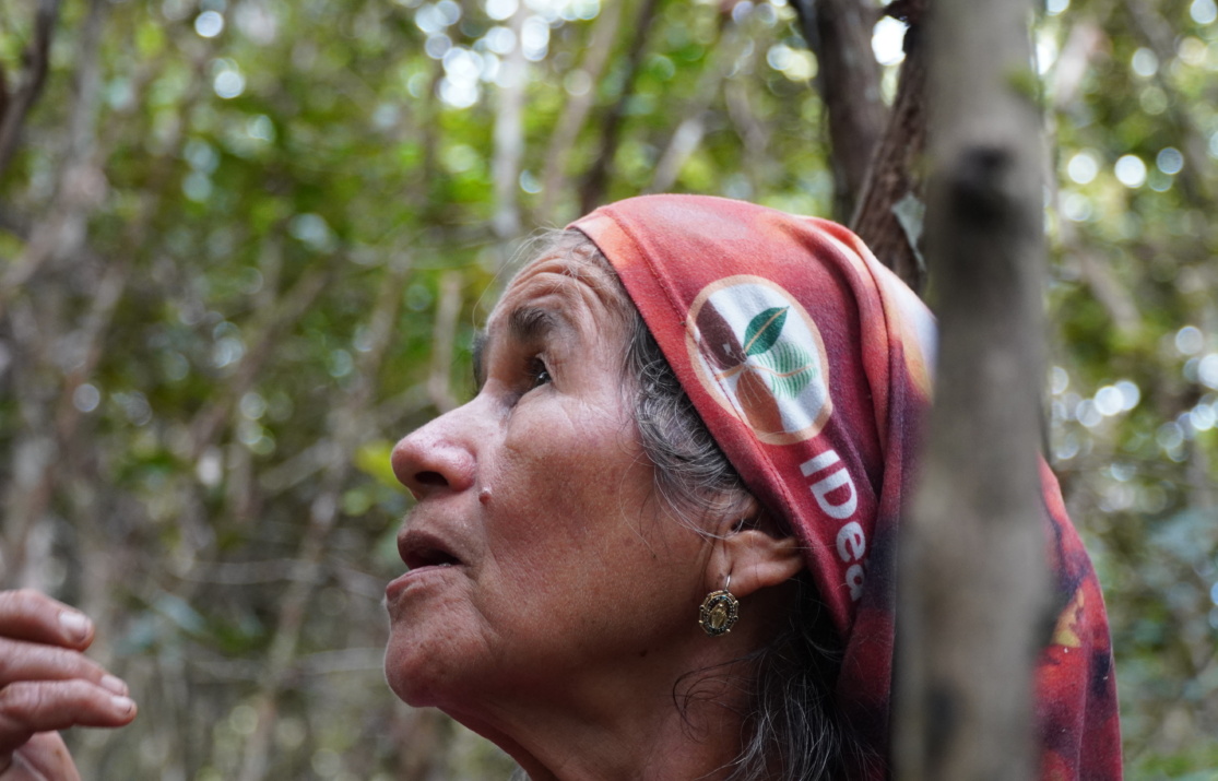 Colombia_Guaviare_IDeas DeSIRA_2025(1)