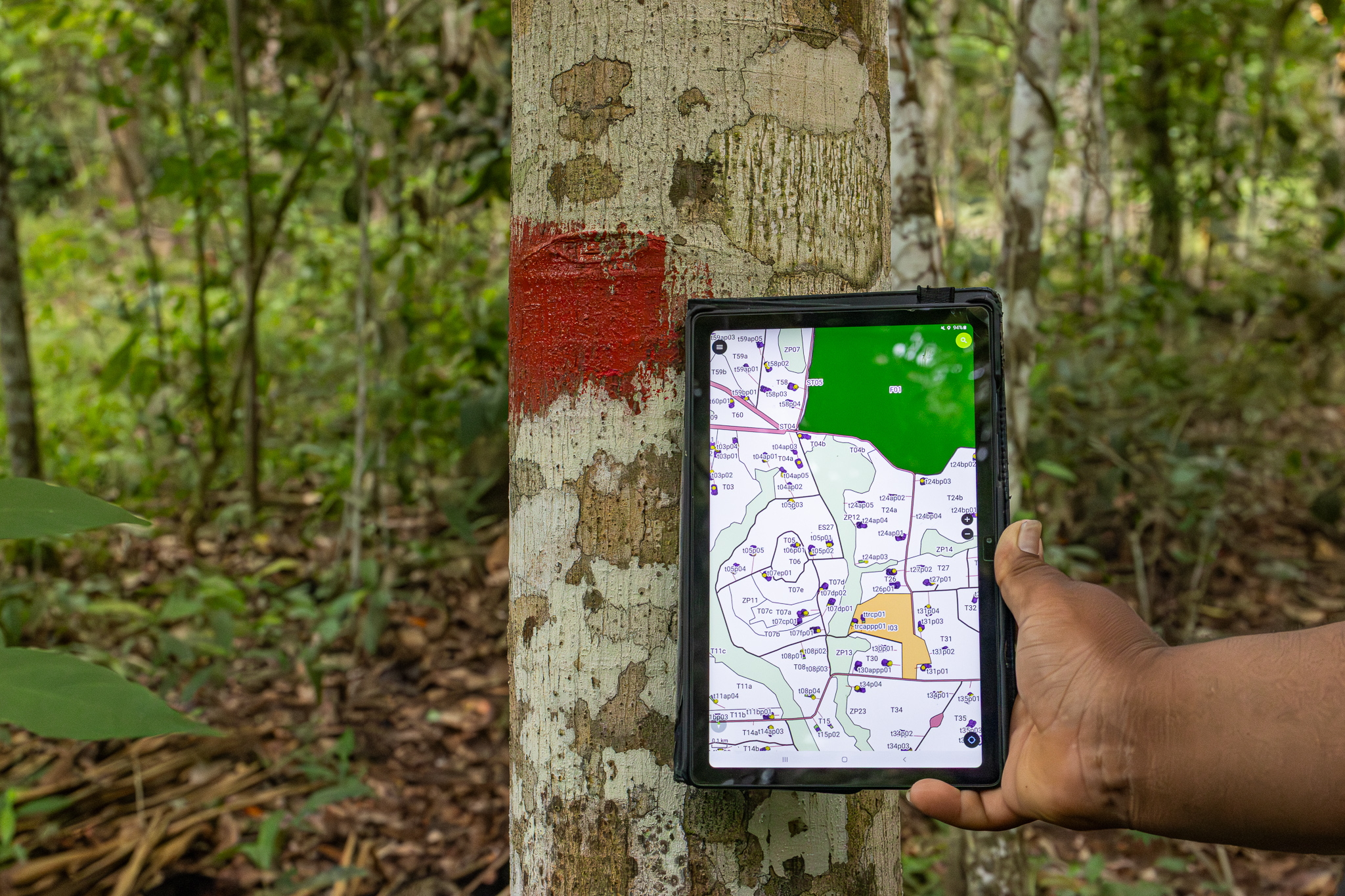 suivi forêt digitalisé