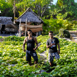 1 Illustration-Kiwa (1) UPSCALE