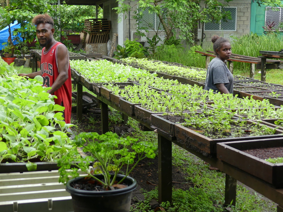 agriculteurs ferme biologique kiwa