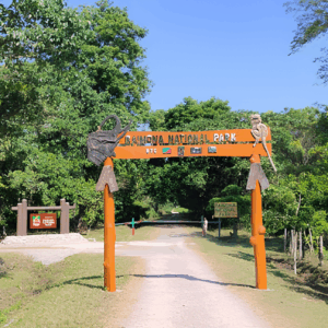Amchang National Park – ASSAM INDE ONFI (1)