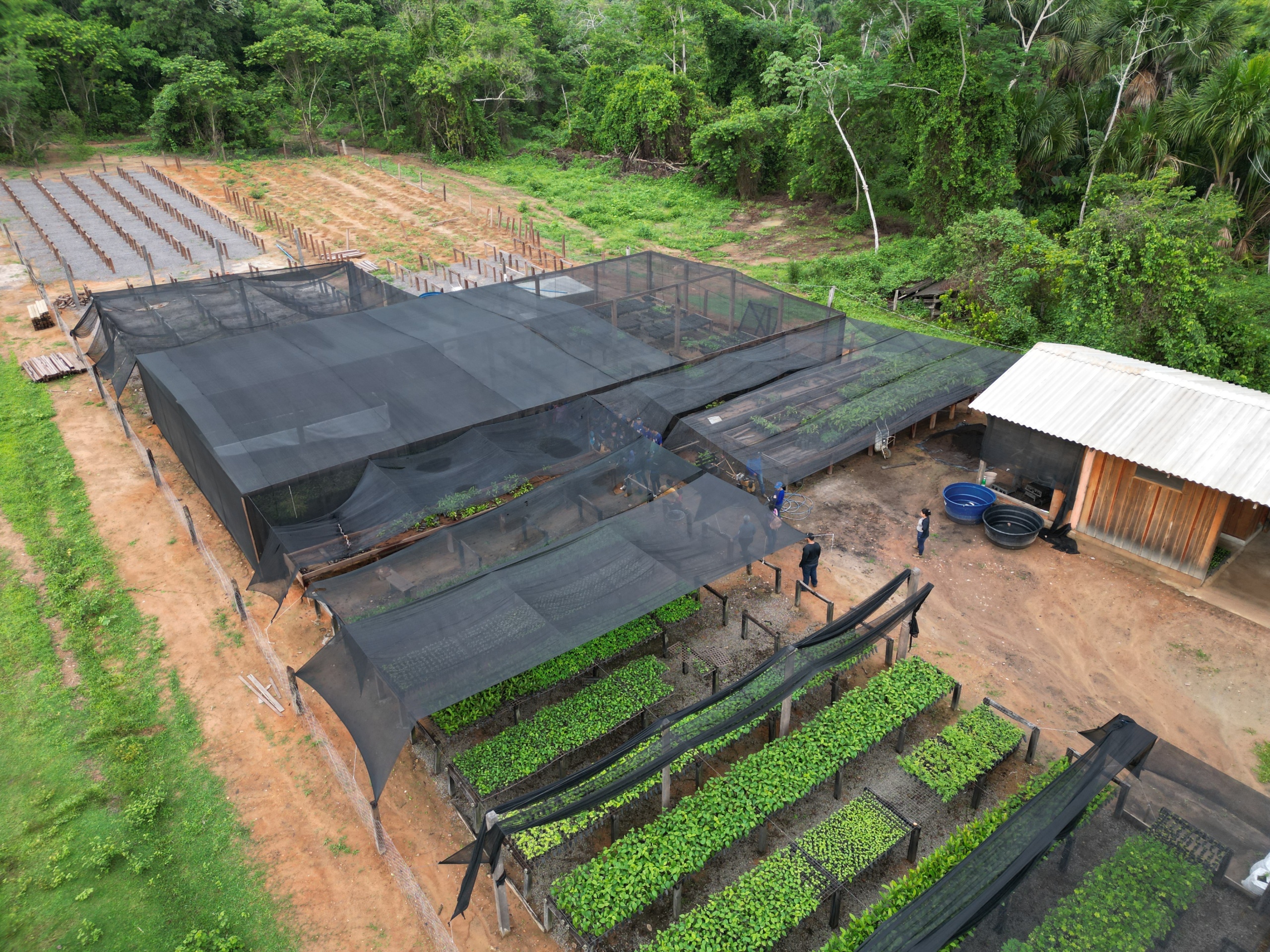 vue aérienne de la pépinière ONF Brésil