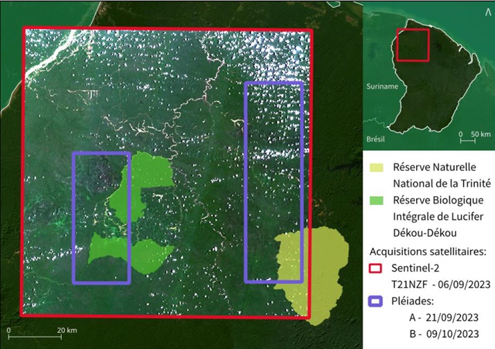 Cartographie la zone d'étude. Sources: ONF, Manon Levistre, Esri satellite. Septembre 2025.