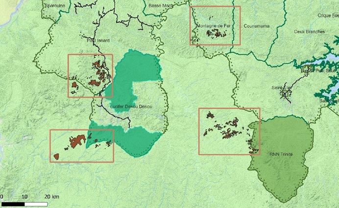 Localisation des zones de dépérissement des arbres en Guyane 