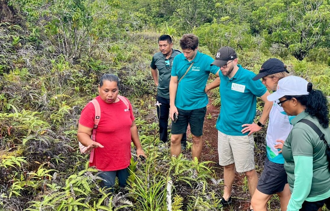 kiwa pieges sediments