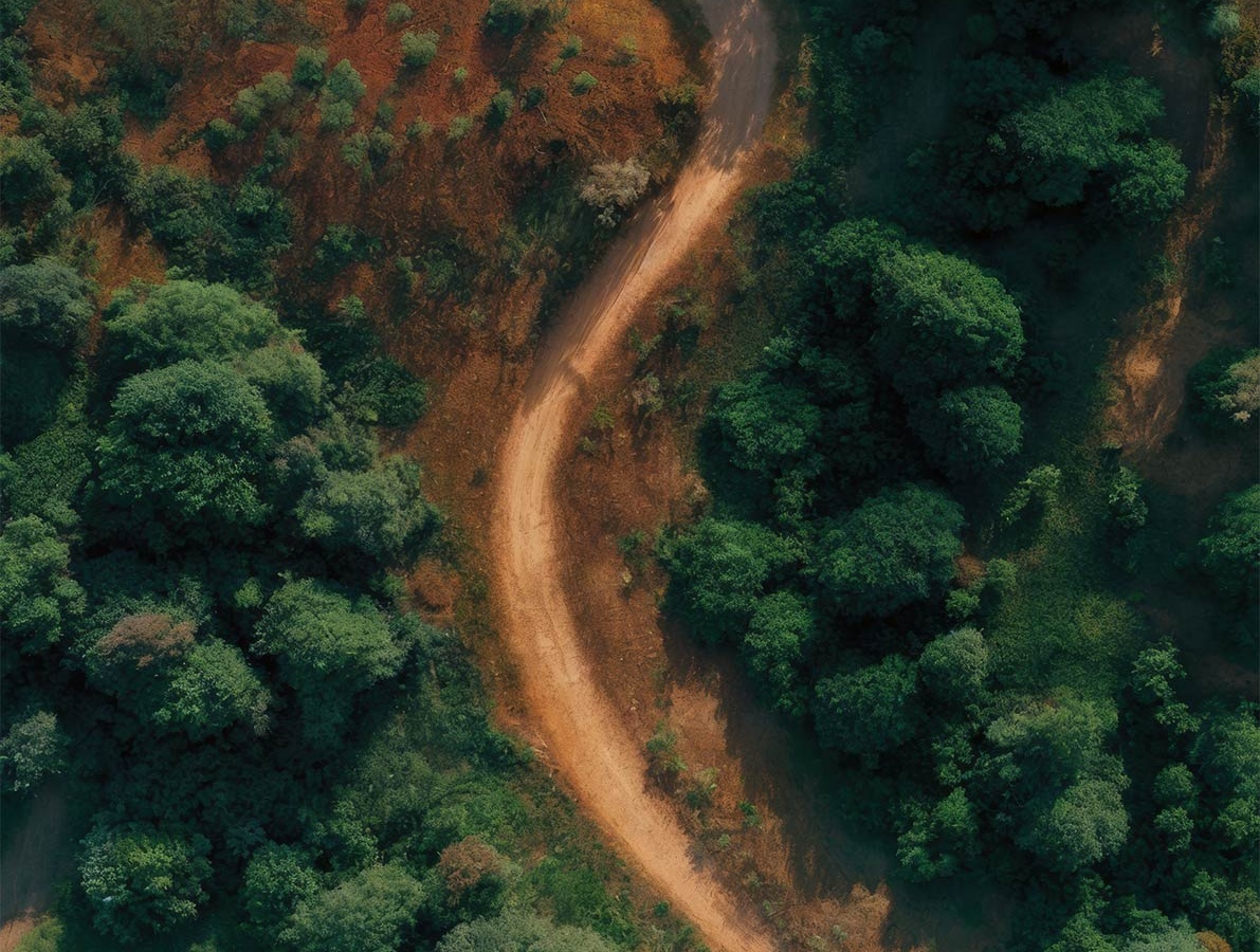 Cameroun vue avec une route