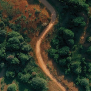 Cameroun vue avec une route