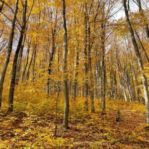 Armenie parc national