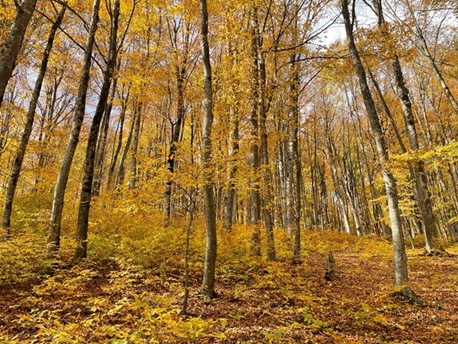 Armenie parc national