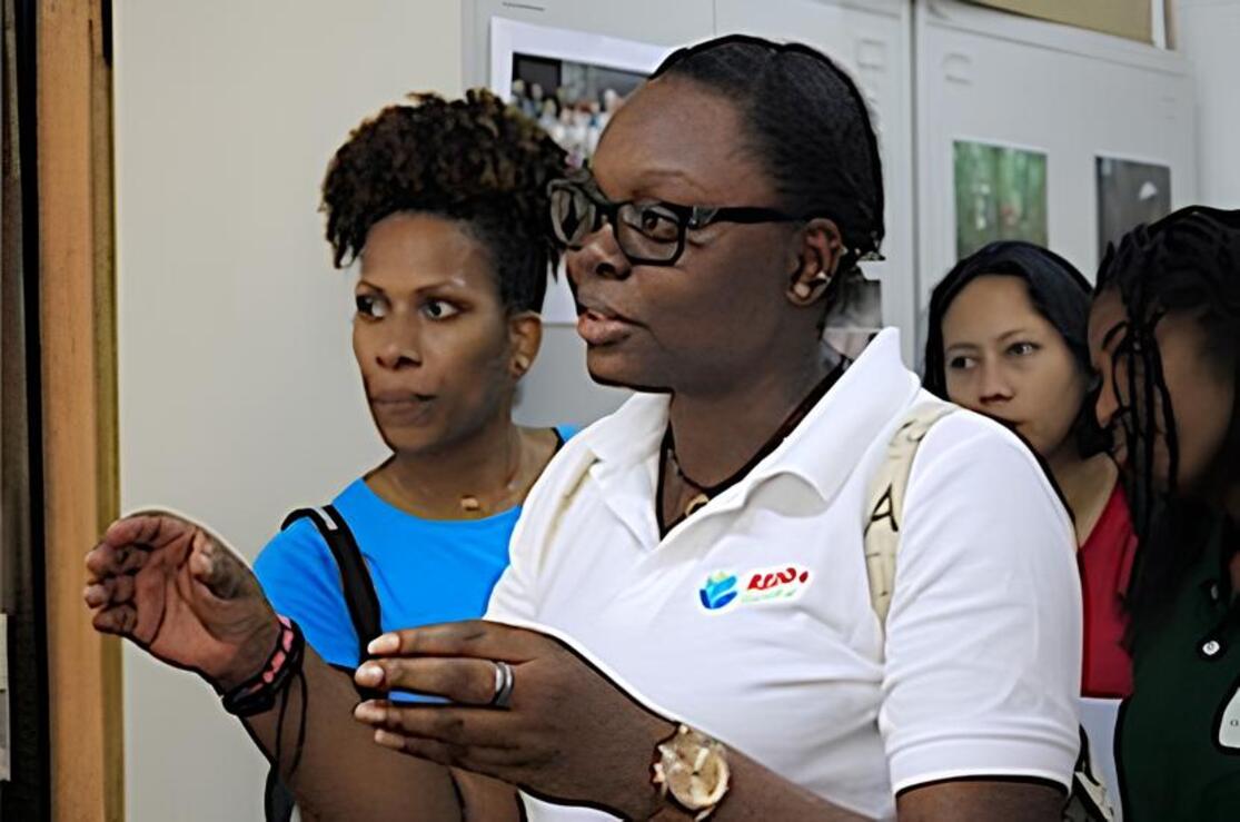 ECOSEO- ONFI - FOREST-COVER-UNIT