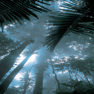 ECOSEO- ONFI – ILLUSTRATION COUVERTURE