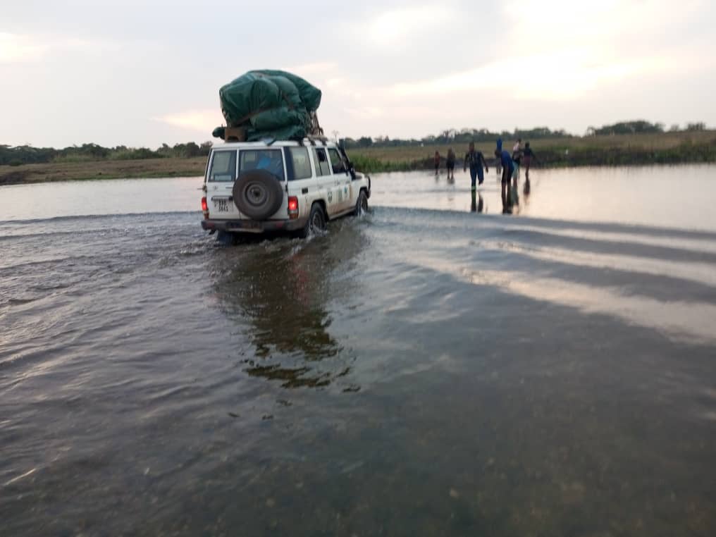 Zambie voiture des forestiers