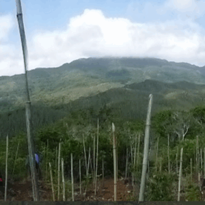 RESSCUE PROVINCE NORD