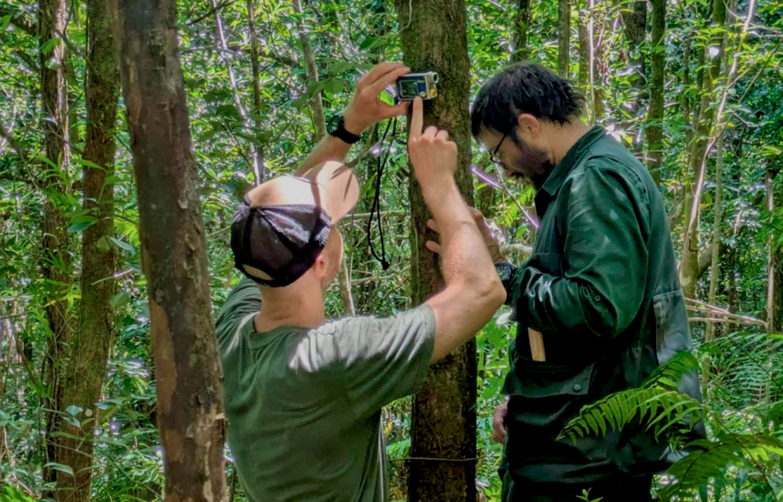 La Réunion — collecte de données sur le terrain