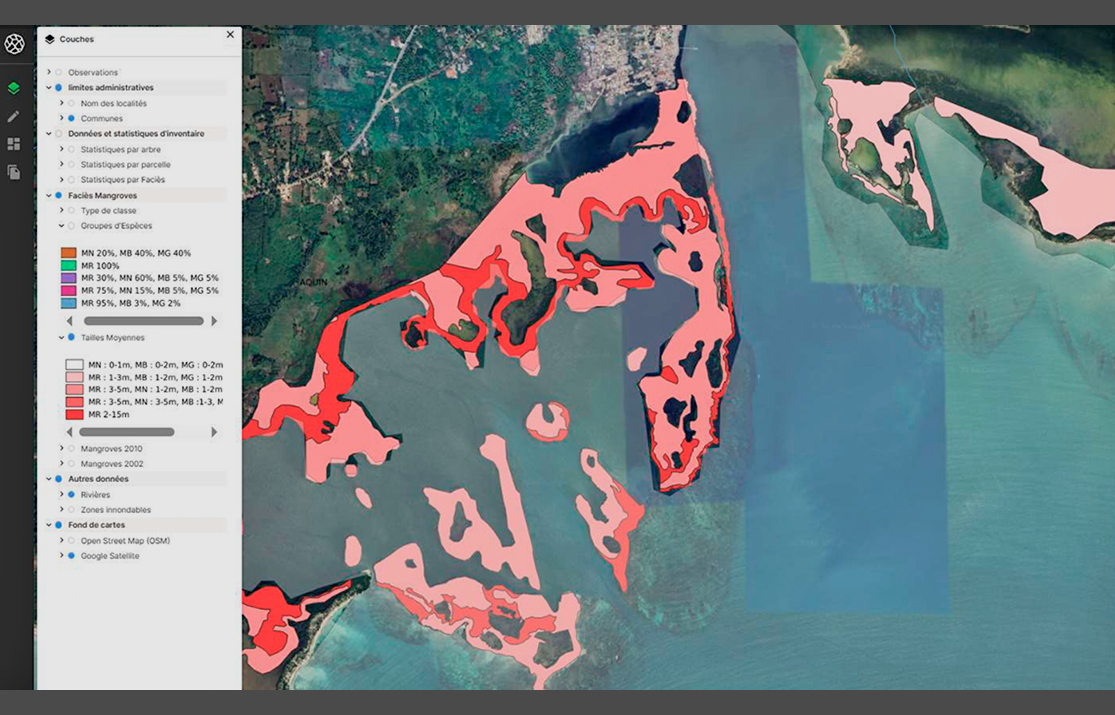 haiti forland mangroves 2