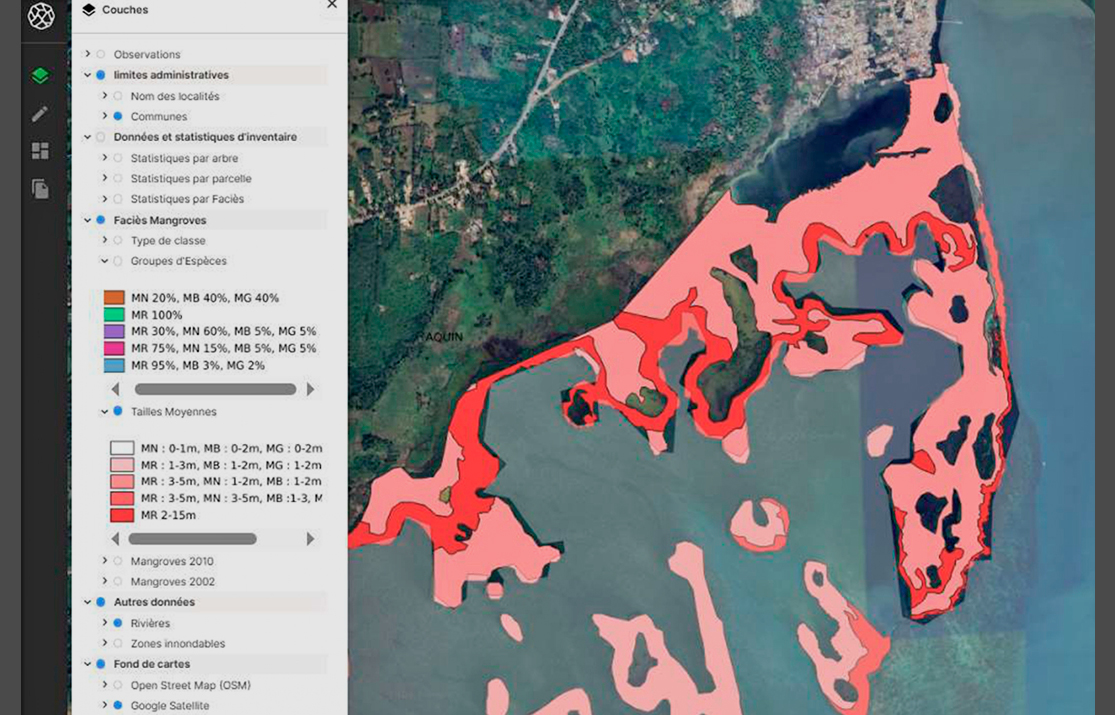 haiti forland mangroves