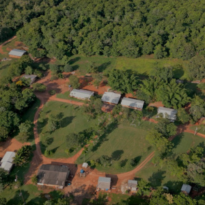 Fazenda São Nicolau - Puits de Carbone Forestier