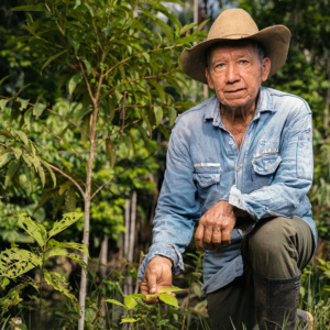 TerrAmaz - Territoires amazoniens