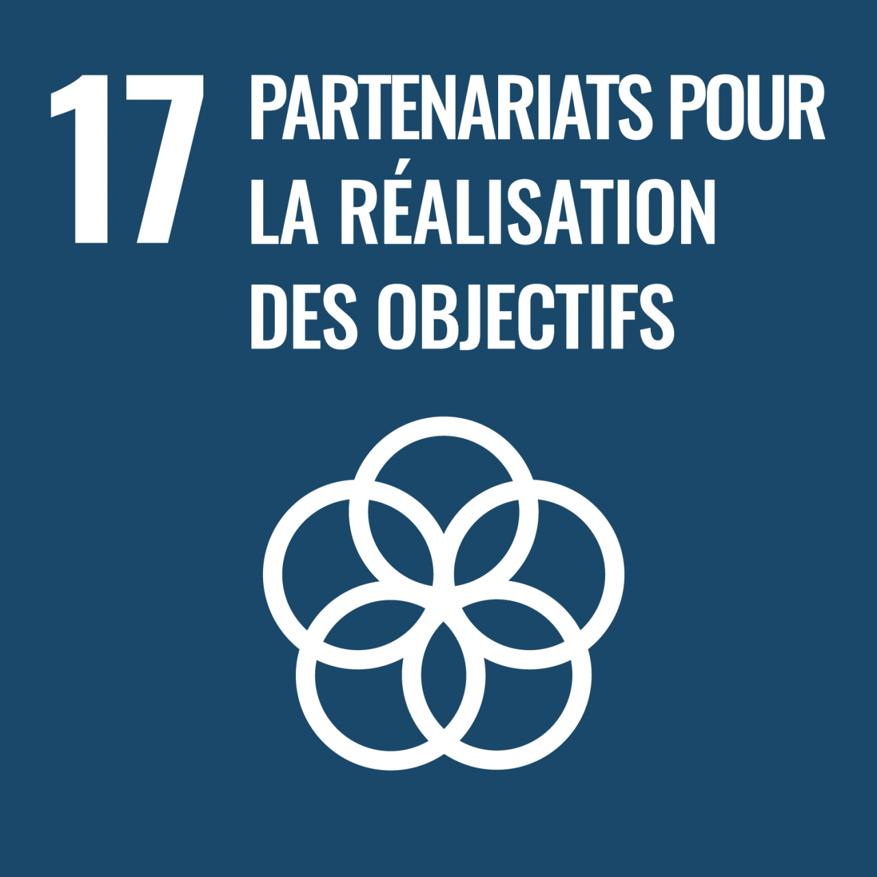 Promouvoir des partenariats efficaces entre les gouvernements, le secteur privé et la société civile, nécessaires à la réalisation des ODD.